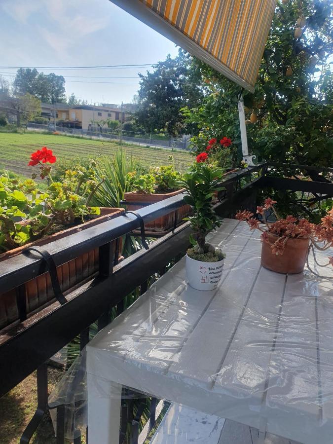 Bed and Breakfast Ospitalita Il Noce Brusciano Экстерьер фото